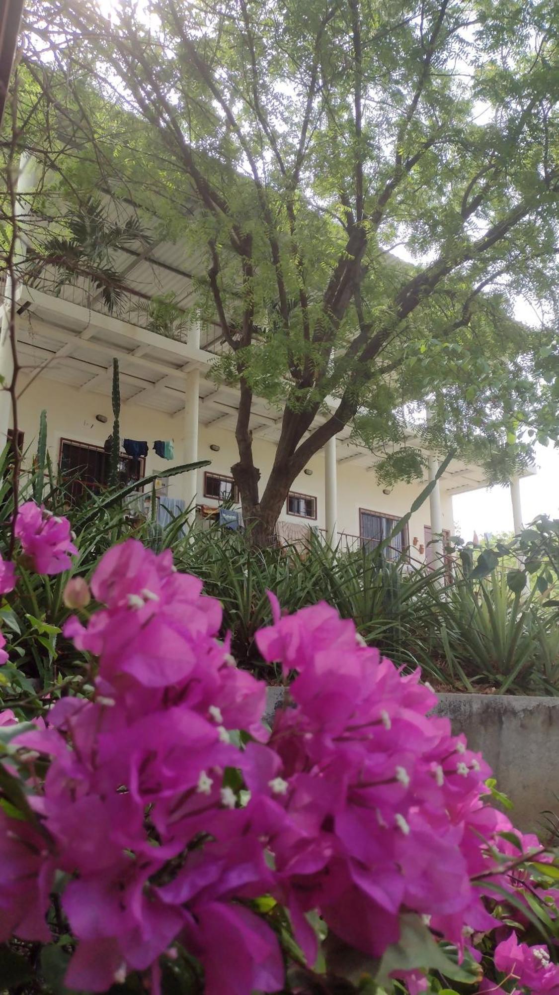 Bed and Breakfast Casa Todo Bueno Transito Екстер'єр фото