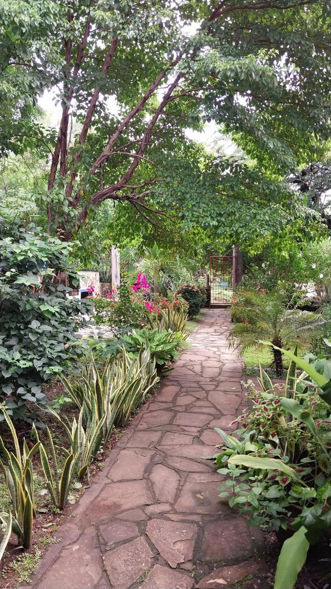Bed and Breakfast Casa Todo Bueno Transito Екстер'єр фото